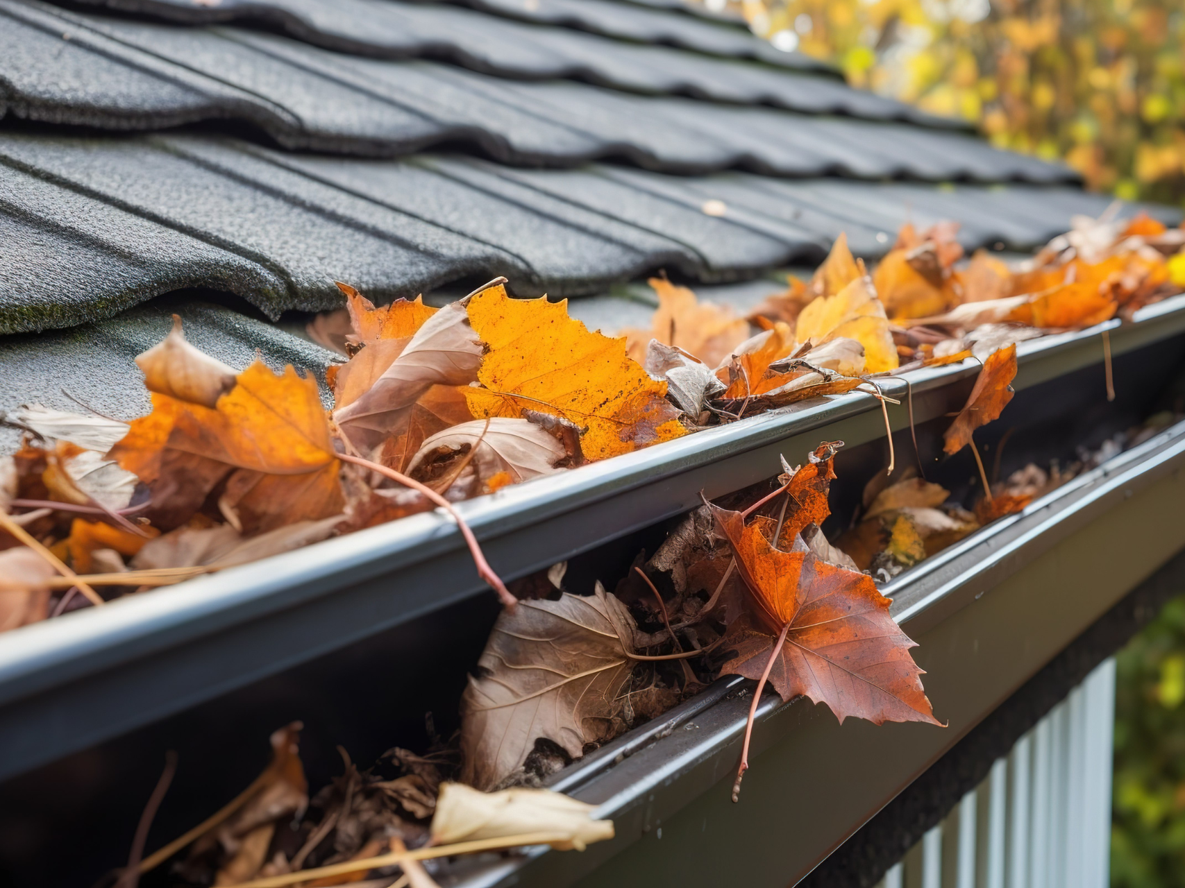 Gutter Cleaning Nottingham