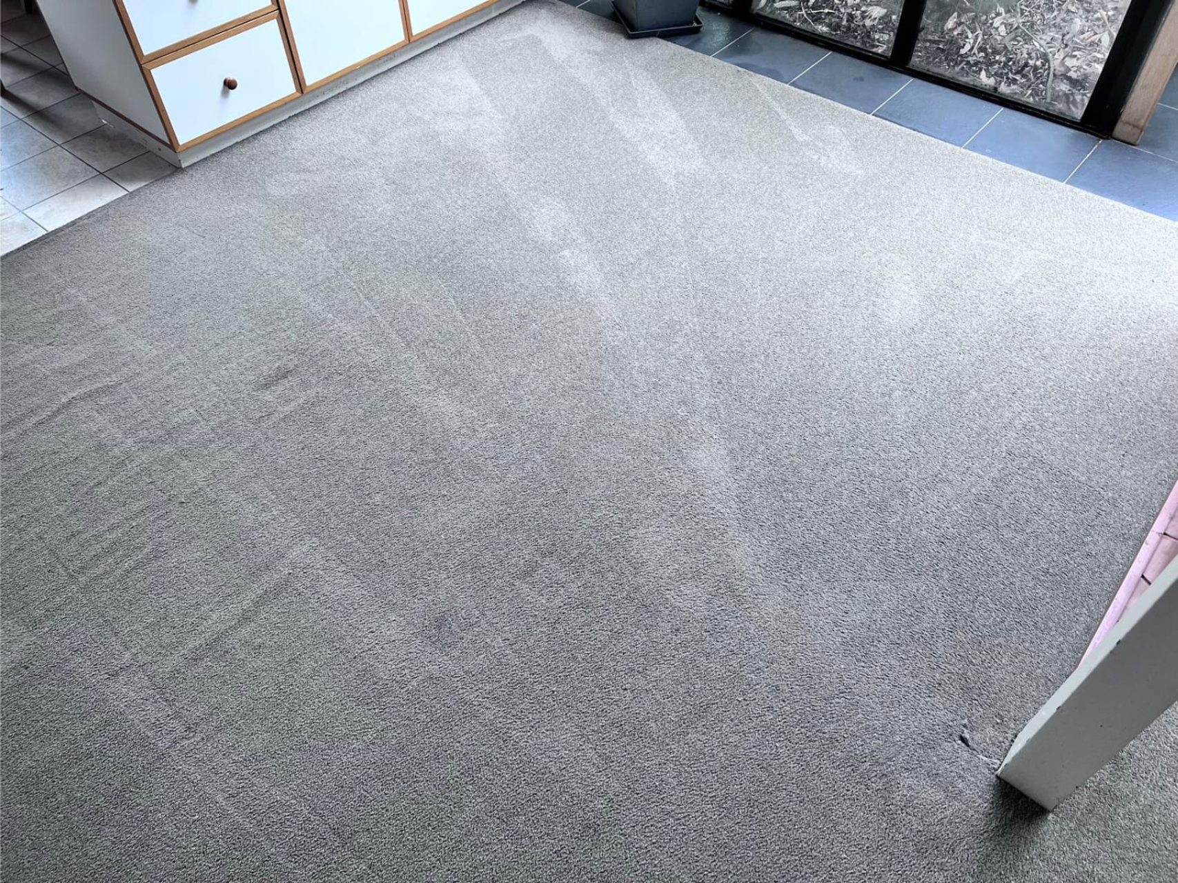 Carpet Cleaning Services